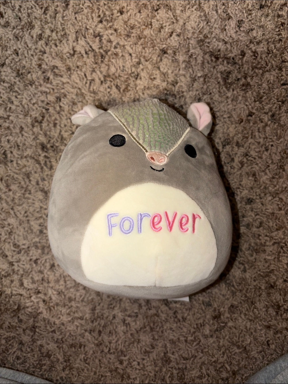 Squishmallow 7" Thompson The Armadillo "FOREVER" Plush NWOT